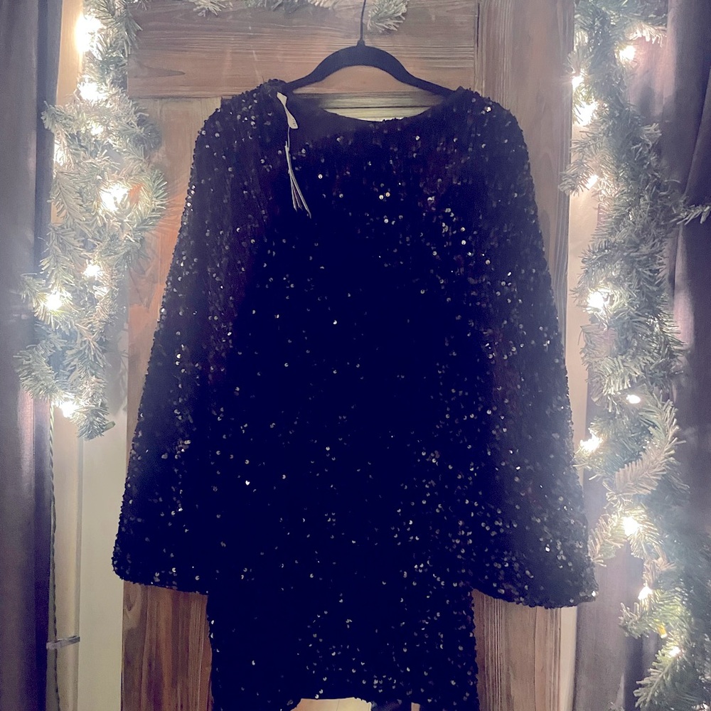 Black Sequin dress with bell sleeve and back zipper. New with tags.
